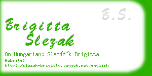 brigitta slezak business card